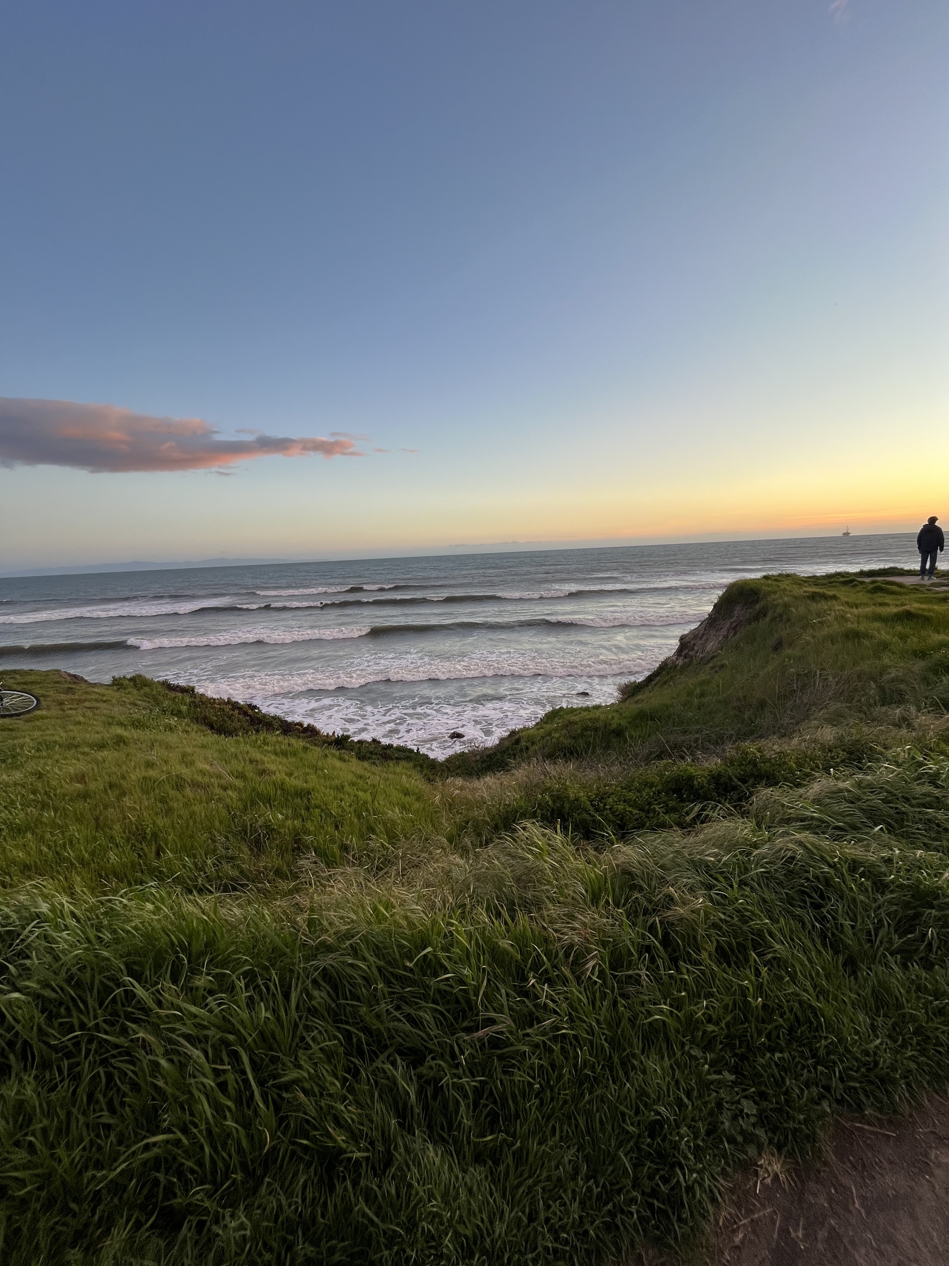 a grassy cliff with the ocean in the distance