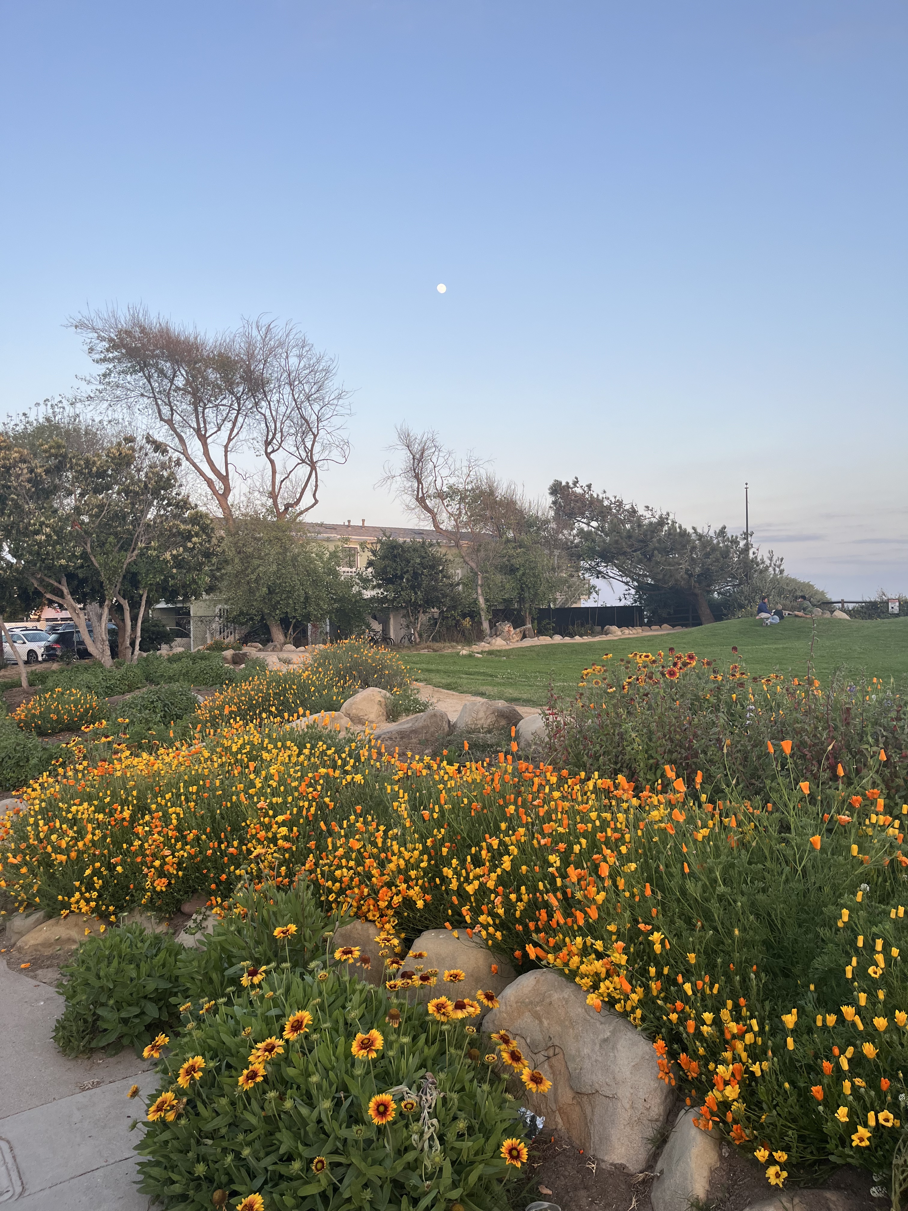 a park with flowers and a small moon in the sky